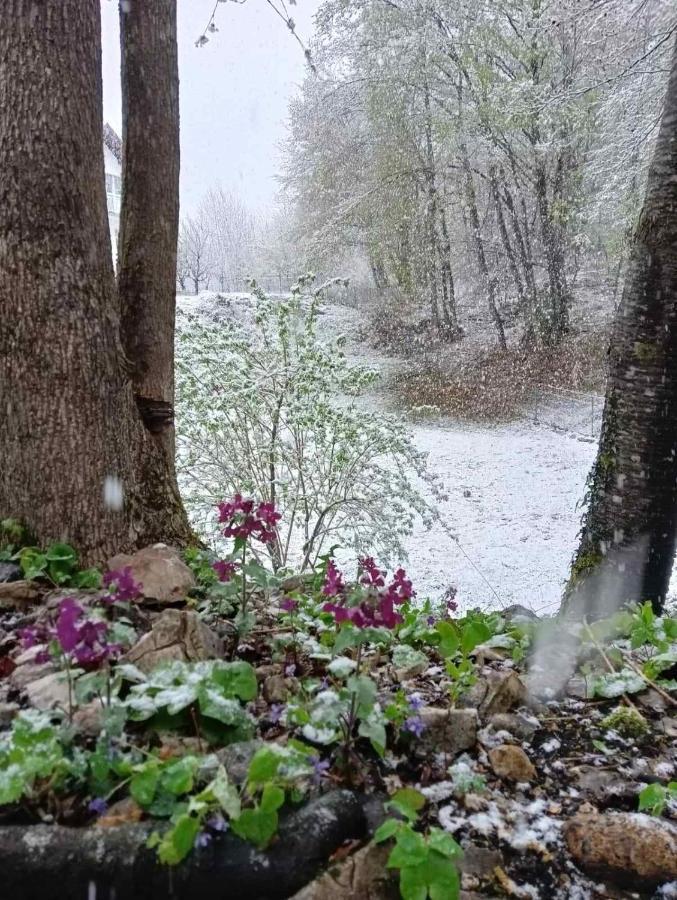 Plitvice Oaza Mira Villa Smoljanac Buitenkant foto